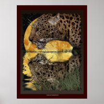 DRINKING LEOPARD at SUNSET Art Poster