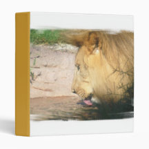 Drinking Lion Binder