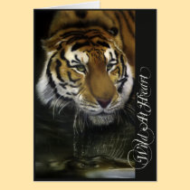 Drinking Tiger cards