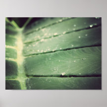 Drip Posters