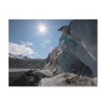 Dripping In the Sun Post Card