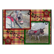 Driving Donkey Card