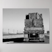 Driving Through Texas Poster