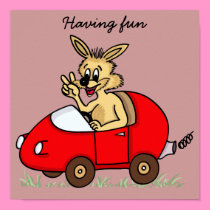 drôle lapin dans sa voiture posters