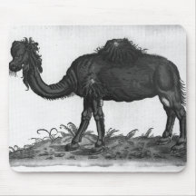 Dromadaire, de 'Historial Animalium Tapis De Souris