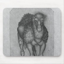 Dromadaire, le de l'album de Vallardi Tapis De Souris