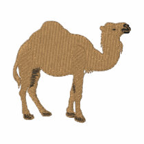 Dromedary