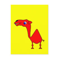 Dromedary Post Card