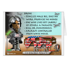 Drone Definition Cards