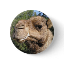 Drooling Camel Button