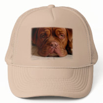 Droopy Dog Classic Hat