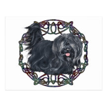 Drop Ear Skye Terrier on Celtic Background Postcards