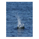 DROP IN THE WATER POSTCARDS