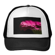 Drop of Water on Gerbera Trucker Hat