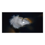 Droplet of water on a white feather photo greeting card