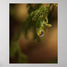 Droplet Posters