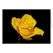 droplets greeting card