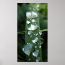 Droplets Posters