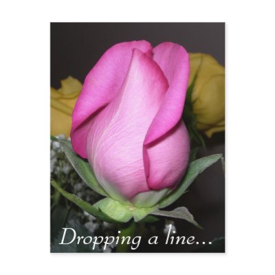 Dropping a line... post card by bkang22