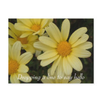 Dropping a line to say hello postcard