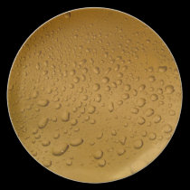 Drops plates