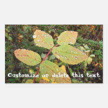 Drops of Autumn; Customizable Rectangular Stickers