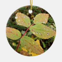 Drops of Autumn; No Text Ornament