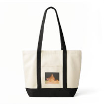 Drowsy Kitten Bag