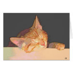 Drowsy Kitten cards