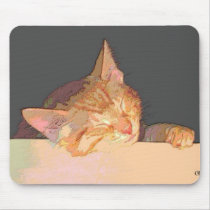 Drowsy Kitten
