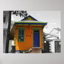 Drugs for Life - New Orleans House Print