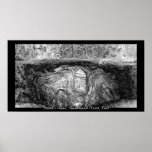 Druid's Altar Poster