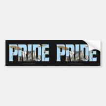 Drums PRIDE Bumper Stickers
