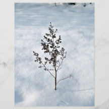 Dry branches tree sticking out of the snow custom flyer