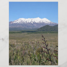 Dry Landscape Flyers