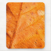 Dry Leaf Mouse Pads