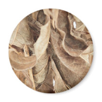 Dry Leaves Magnet