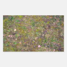 Dry Leaves On Mixed Grass Ground Sticker