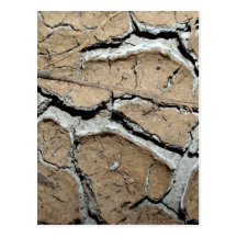 dry  soil  / crack earth post card