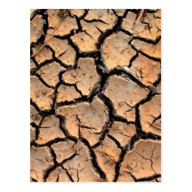 dry  soil  / crack earth post cards