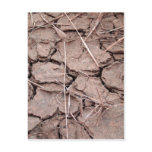 dry  soil  / crack earth postcard