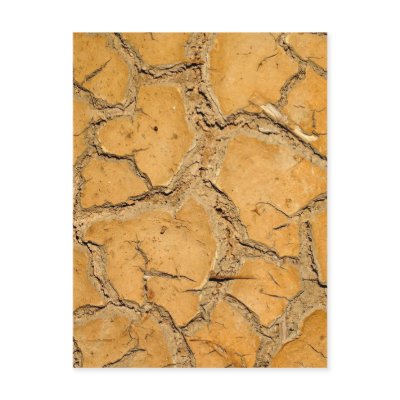 dry  soil  / crack earth post cards by naturelife