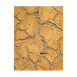 dry  soil  / crack earth post cards