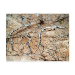 dry  soil  / crack earth post cards