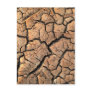 dry  soil  / crack earth post card