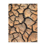 dry  soil  / crack earth post cards