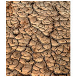 dry  soil  / crack earth t-shirts