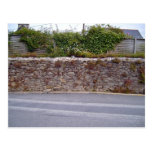 Dry Stone Wall With Plants Besides Road Postcard