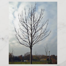 Dry Tree in Garden Custom Flyer
