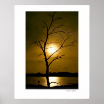 dry tree poster